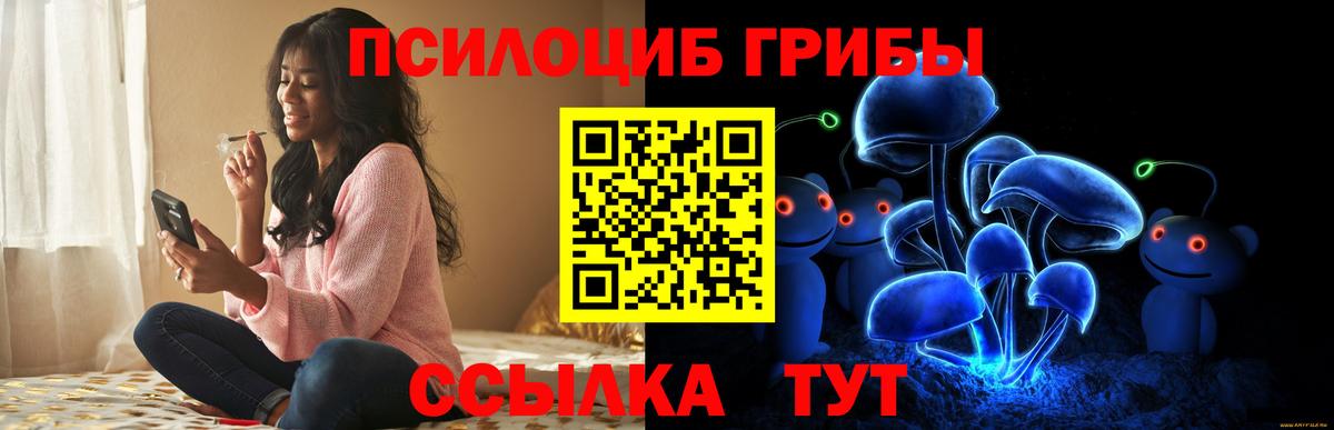 Псилоцибиновые грибы мицелий Мценск